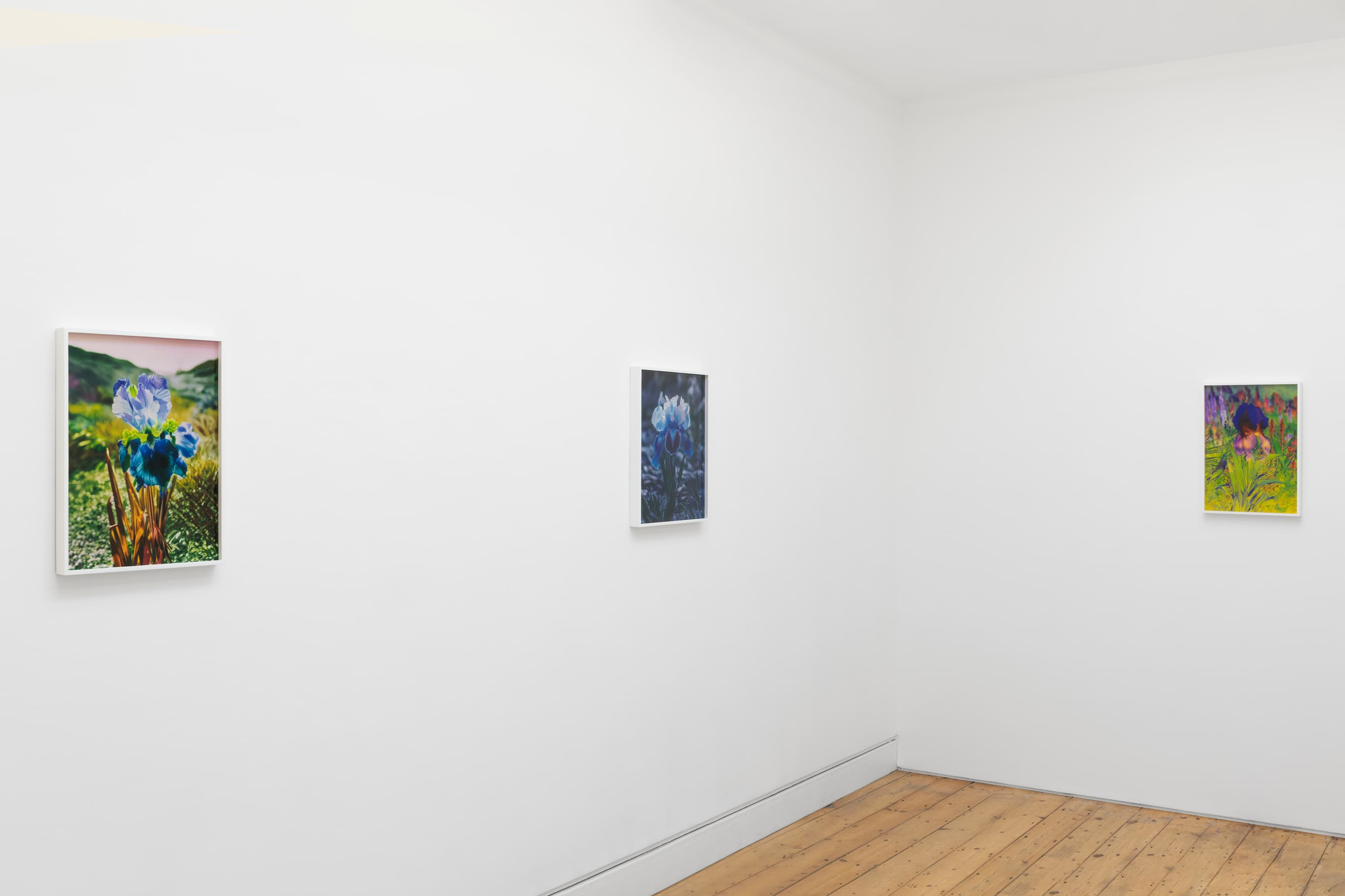 Lisa Oppenheim — Portraits/Hybrids — image 5 of 7