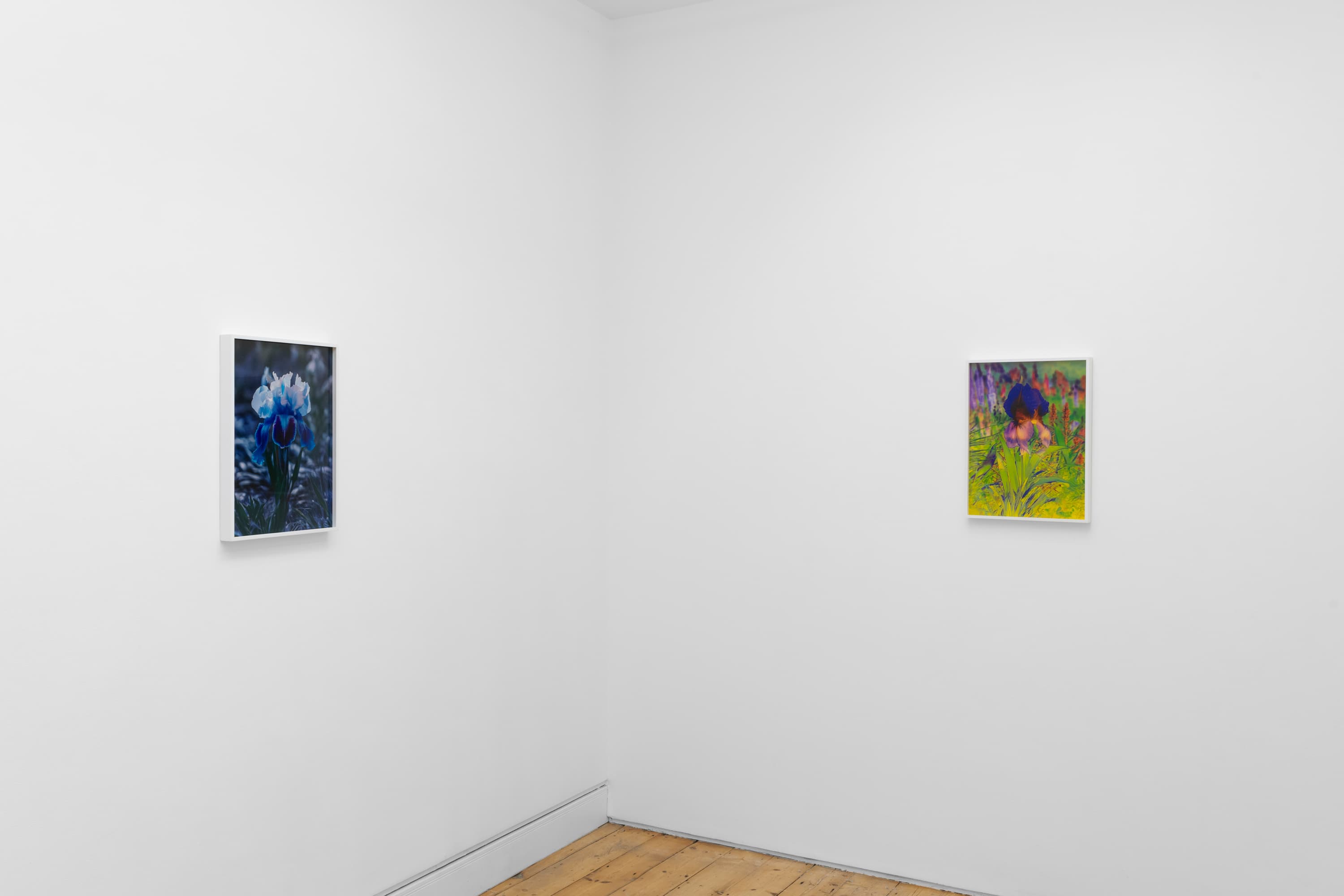 Lisa Oppenheim — Portraits/Hybrids — image 6 of 7
