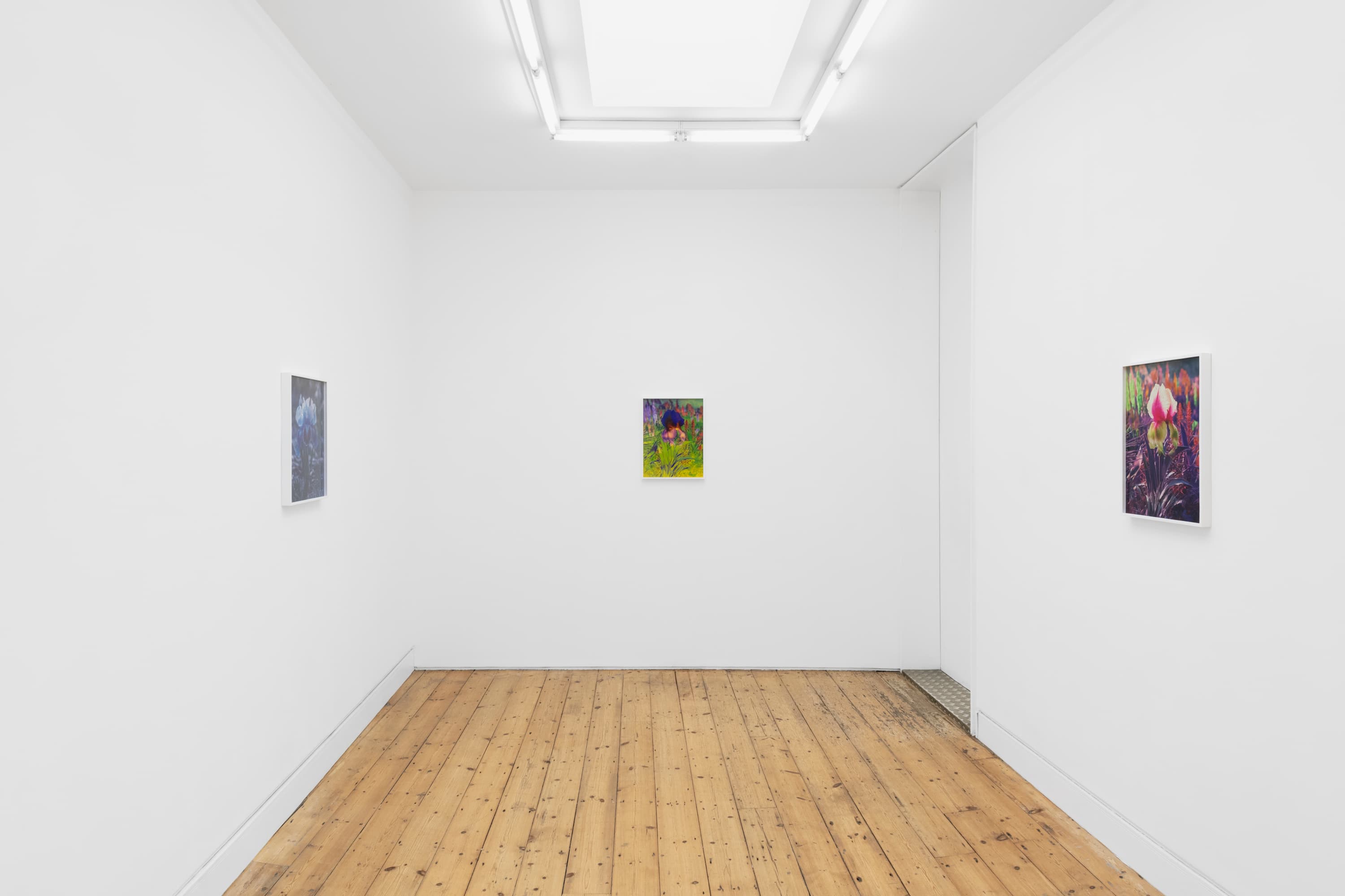 Lisa Oppenheim — Portraits/Hybrids — image 7 of 7