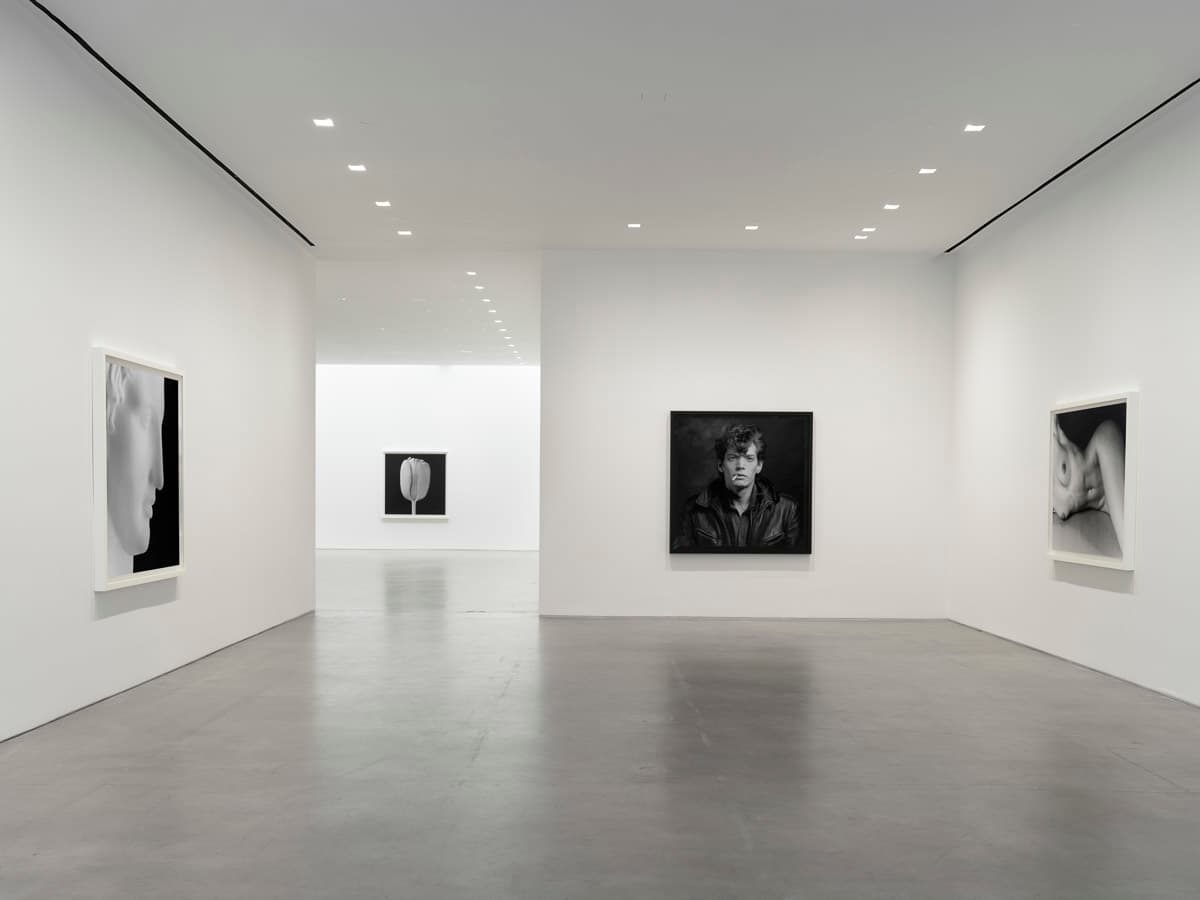 Robert Mapplethorpe — Robert Mapplethorpe — image 1 of 7