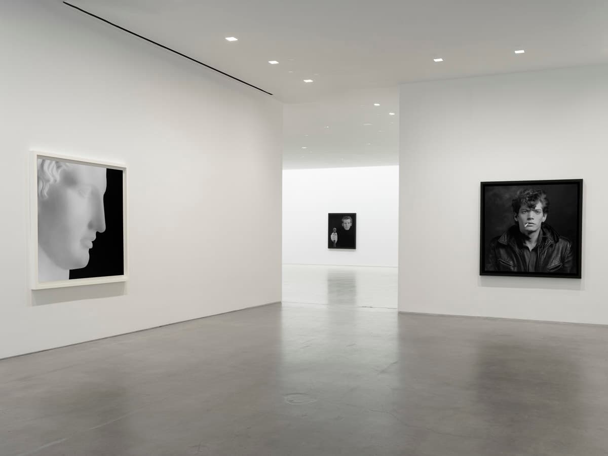 Robert Mapplethorpe — Robert Mapplethorpe — image 2 of 7