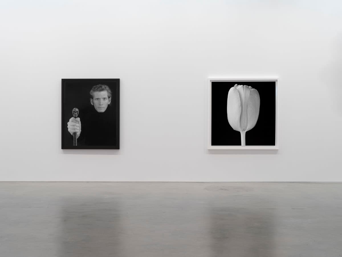 Robert Mapplethorpe — Robert Mapplethorpe — image 4 of 7