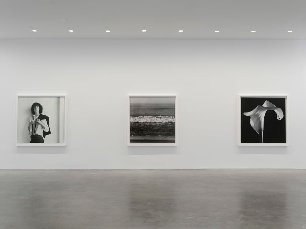 Robert Mapplethorpe — Robert Mapplethorpe — image 5 of 7