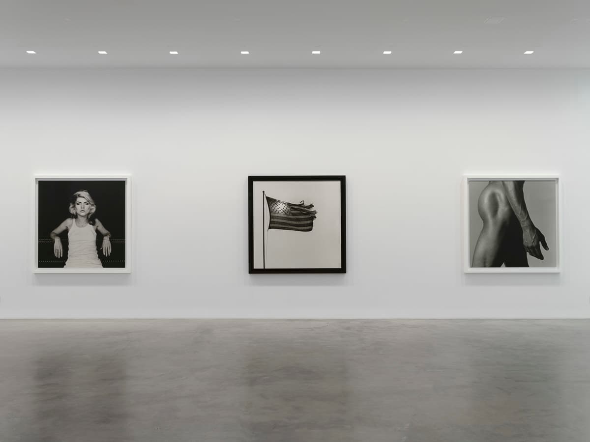 Robert Mapplethorpe — Robert Mapplethorpe — image 7 of 7