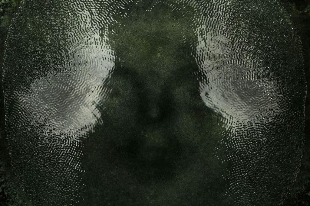 Jenna Sutela — With Each Cycle, a Brain — image 3 of 4
