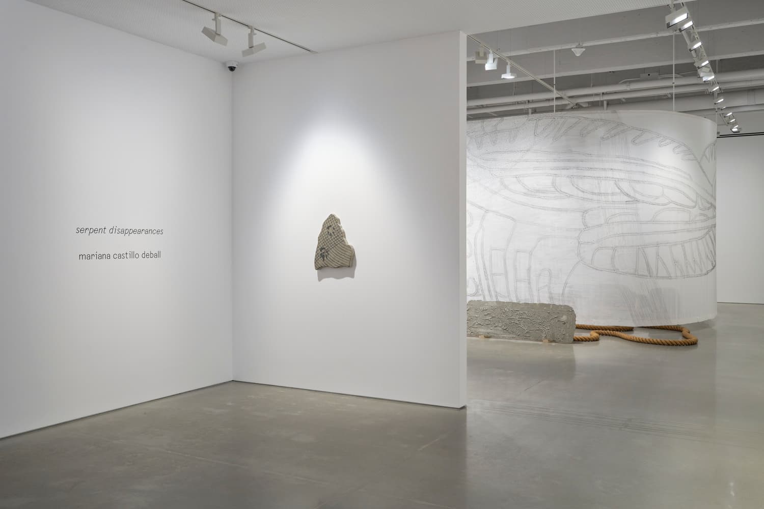 Mariana Castillo Deball — Serpent Disappearances — image 4 of 8