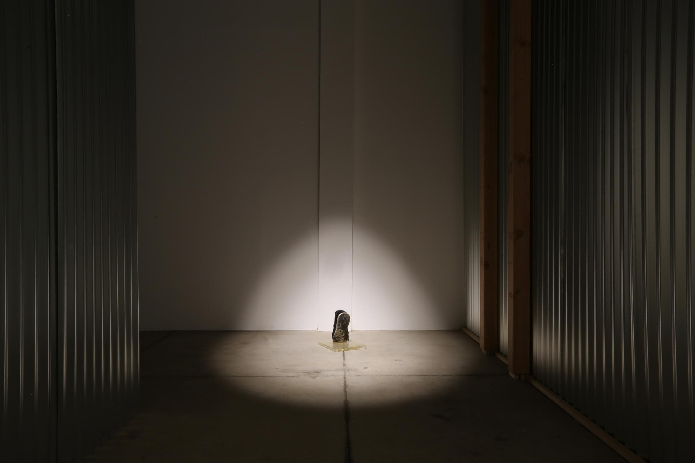 Ryat Yezbick — Choreographies of Retreat — image 4 of 6