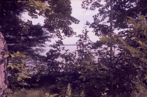 E. Jane — Cryptid or Let the Body Be — image 2 of 2
