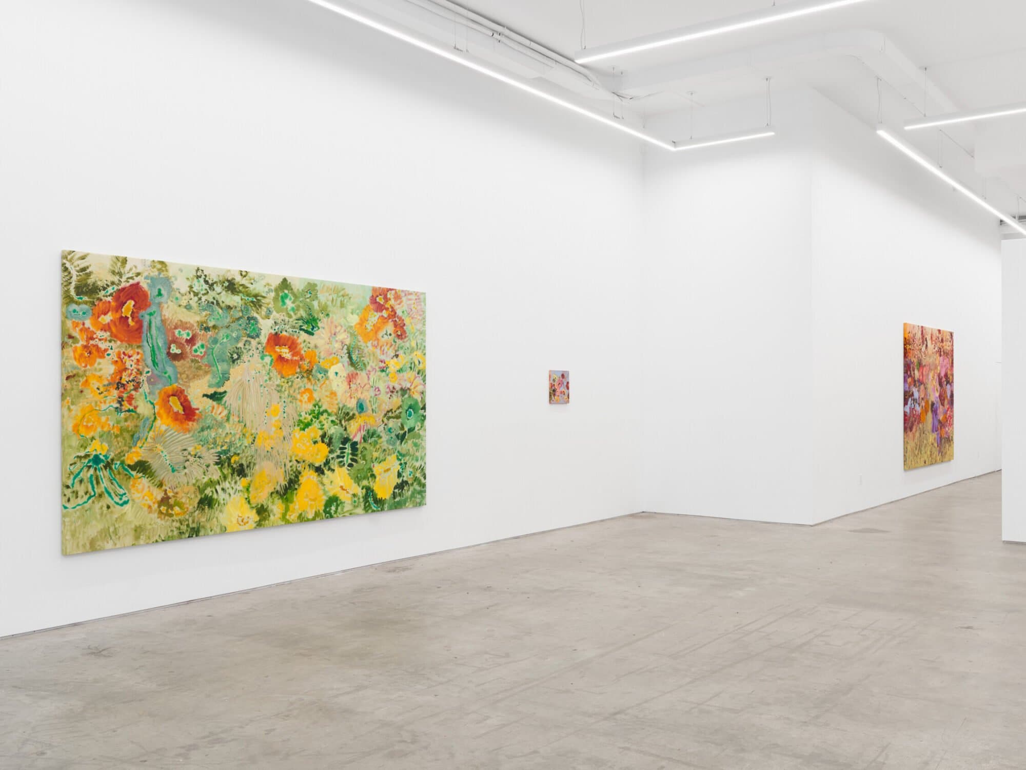 Ileana García Magoda — In the Body of Light — image 7 of 8