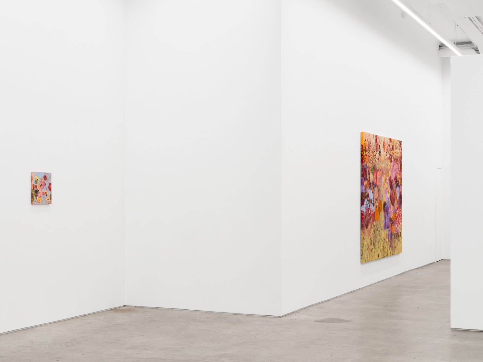 Ileana García Magoda — In the Body of Light — image 8 of 8