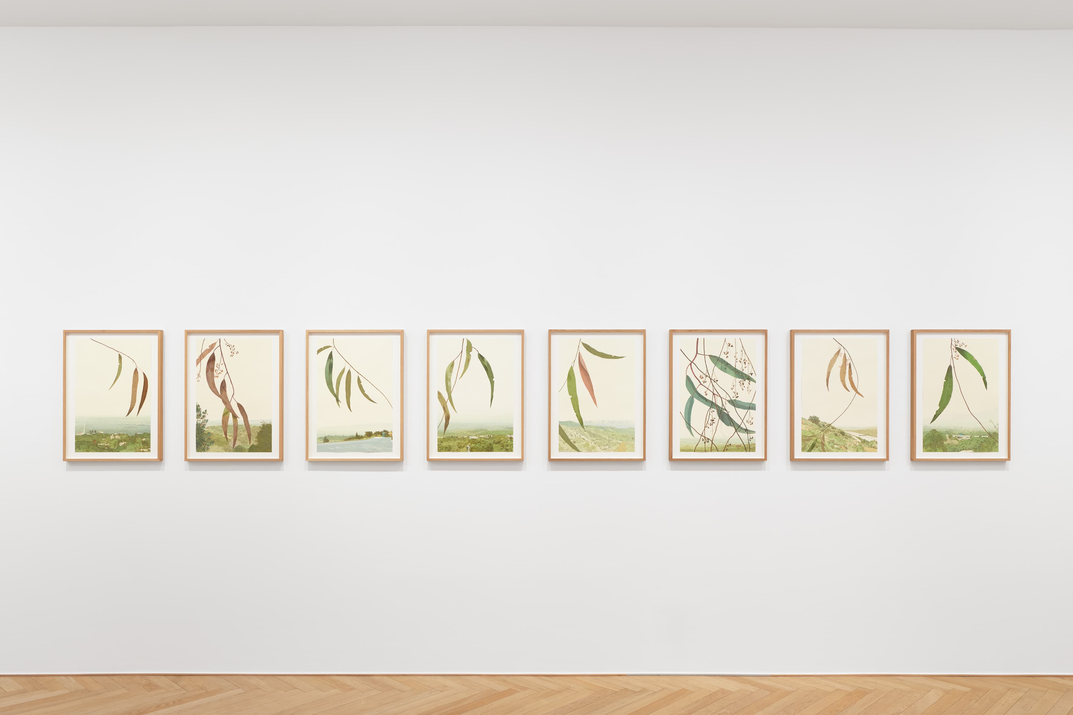Jake Longstreth — Where We're Going We Need Roads — image 5 of 8