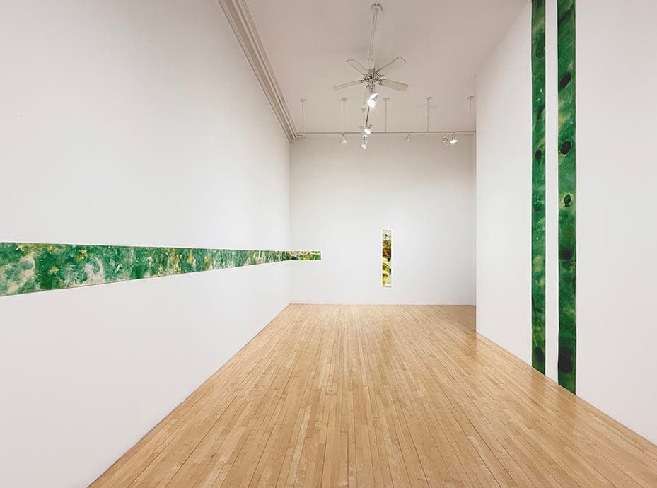 Ryan Foerster — Going Green