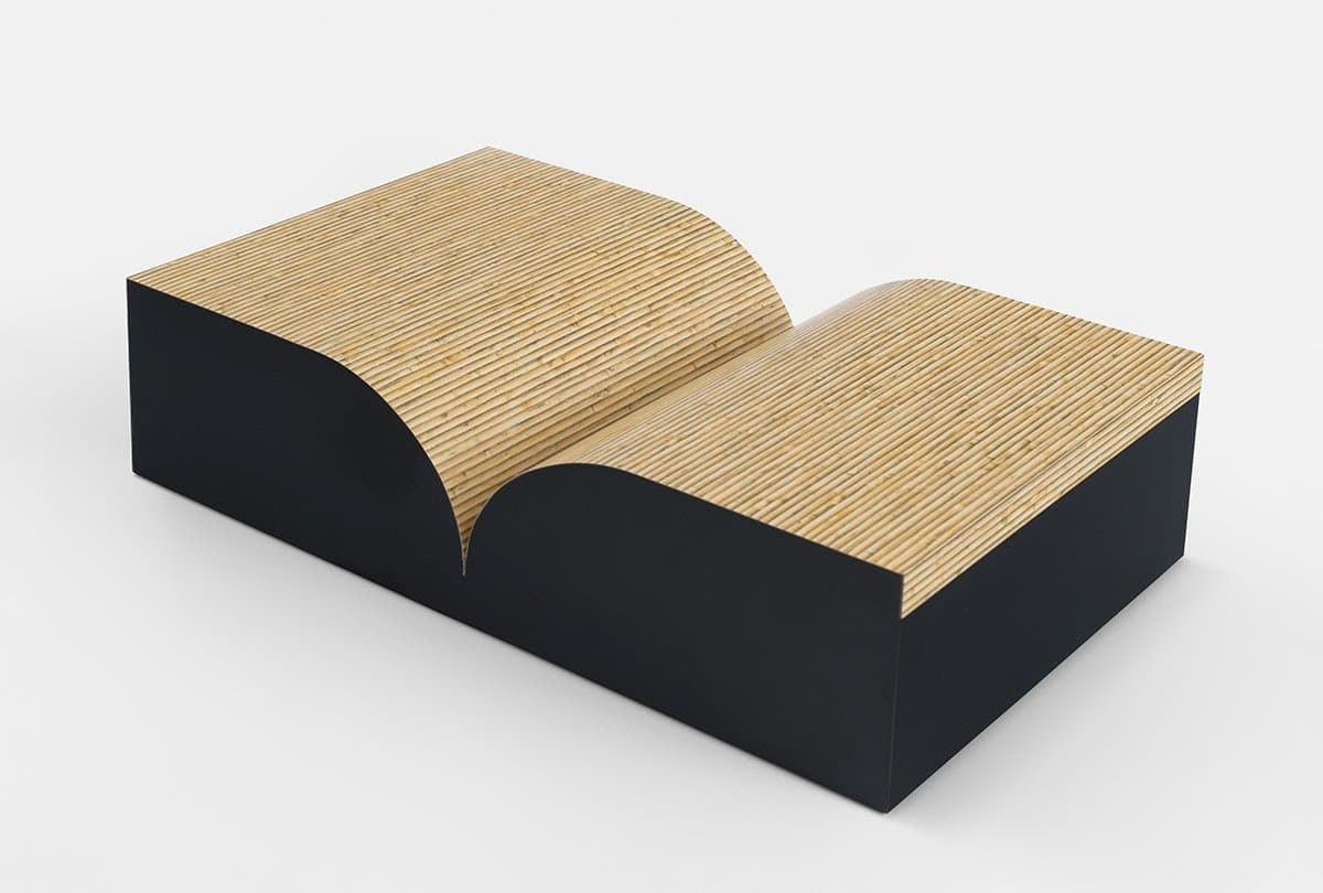 Richard Artschwager — Approximate Objects