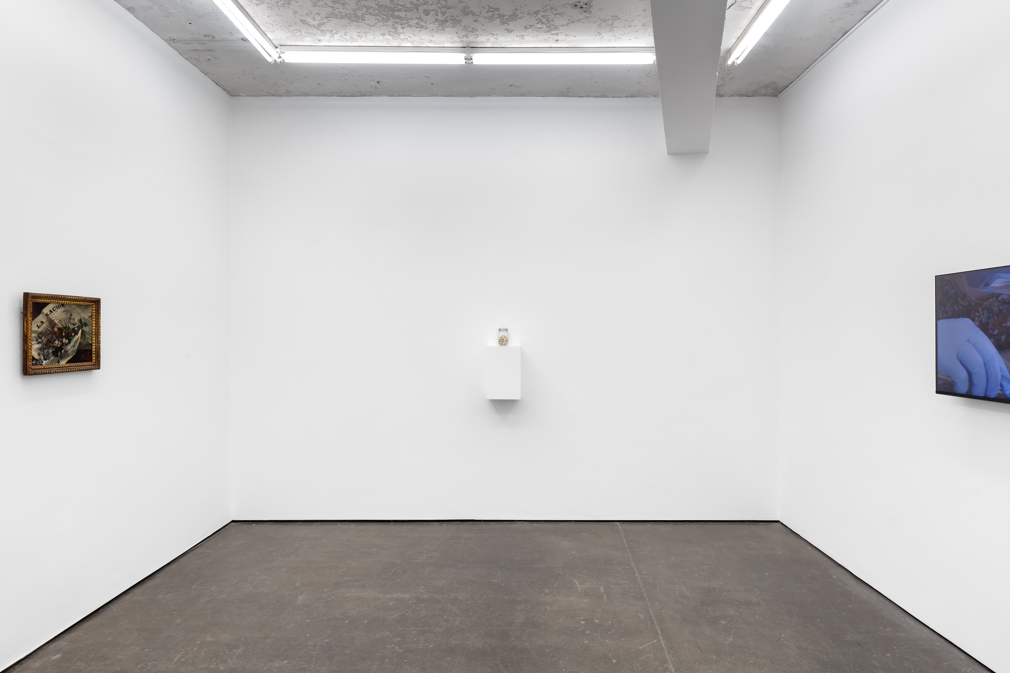 Amalia Pica — Daisy Chain — image 6 of 7