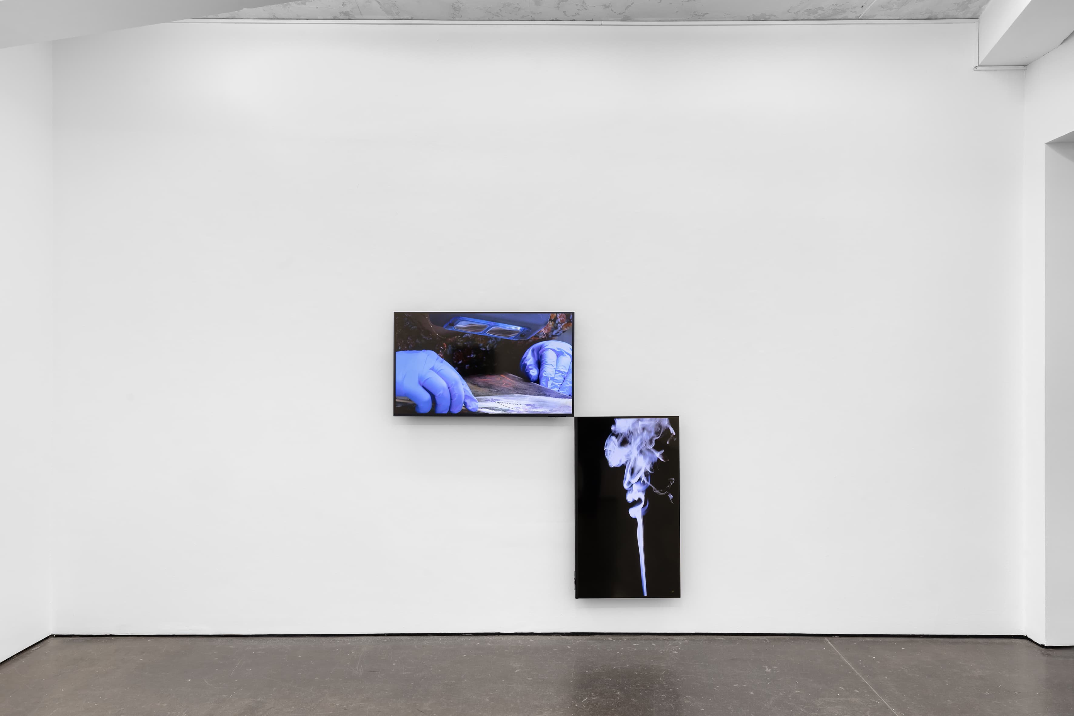 Amalia Pica — Daisy Chain — image 7 of 7