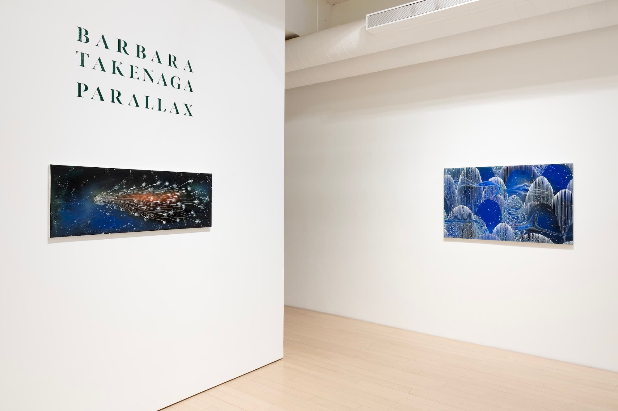 Barbara Takenaga — Parallax — image 12 of 12