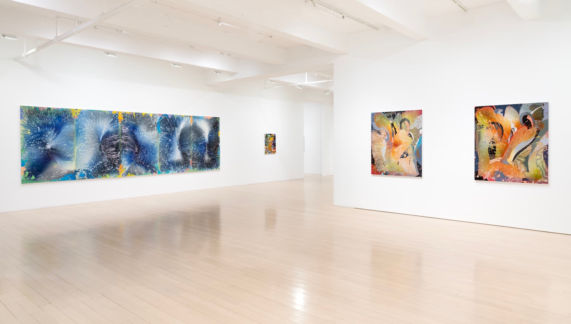 Barbara Takenaga — Parallax — image 3 of 12