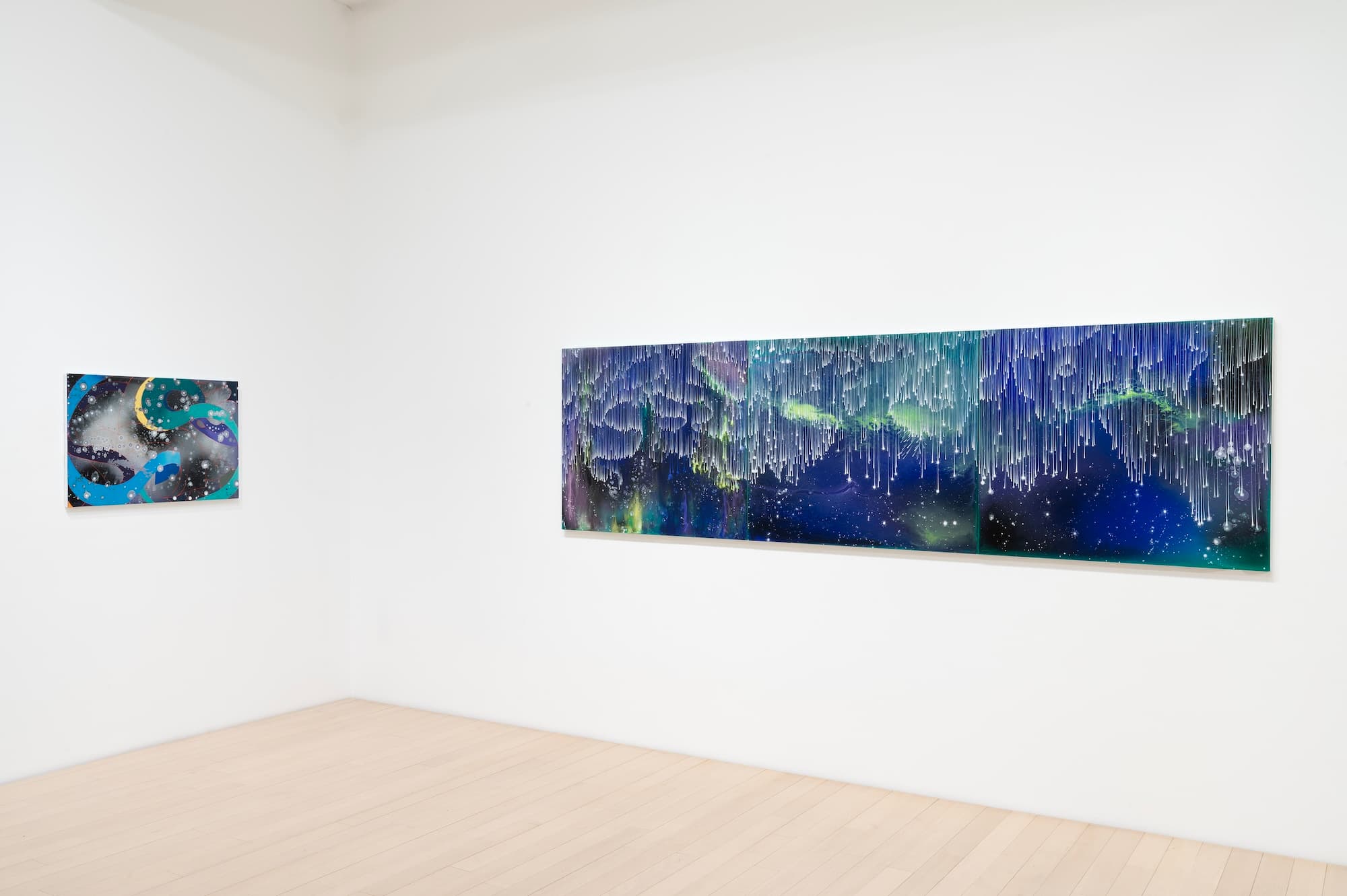 Barbara Takenaga — Parallax — image 8 of 12