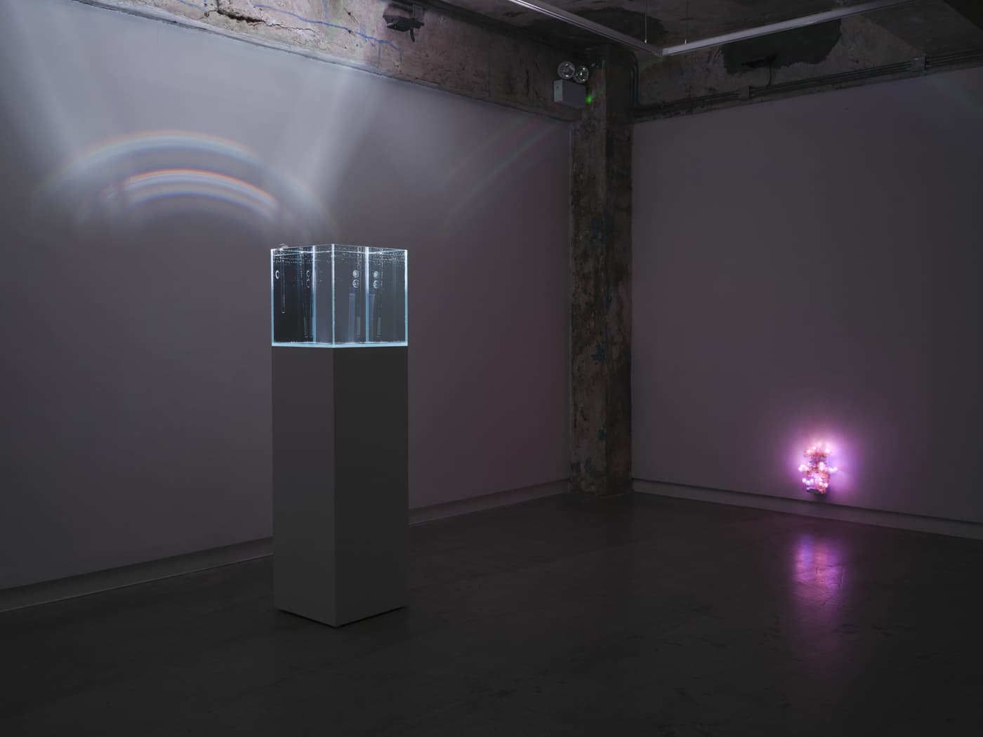 Trevor Yeung — Swallowing Rumination, Gracefully — image 1 of 11