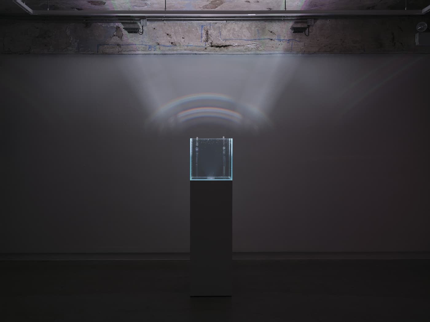 Trevor Yeung — Swallowing Rumination, Gracefully — image 2 of 11