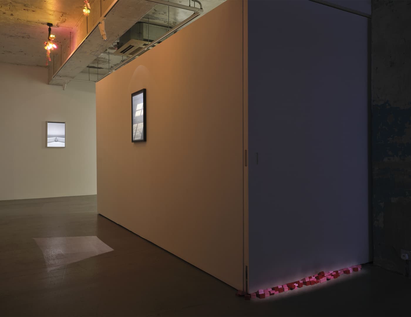 Trevor Yeung — Swallowing Rumination, Gracefully — image 7 of 11