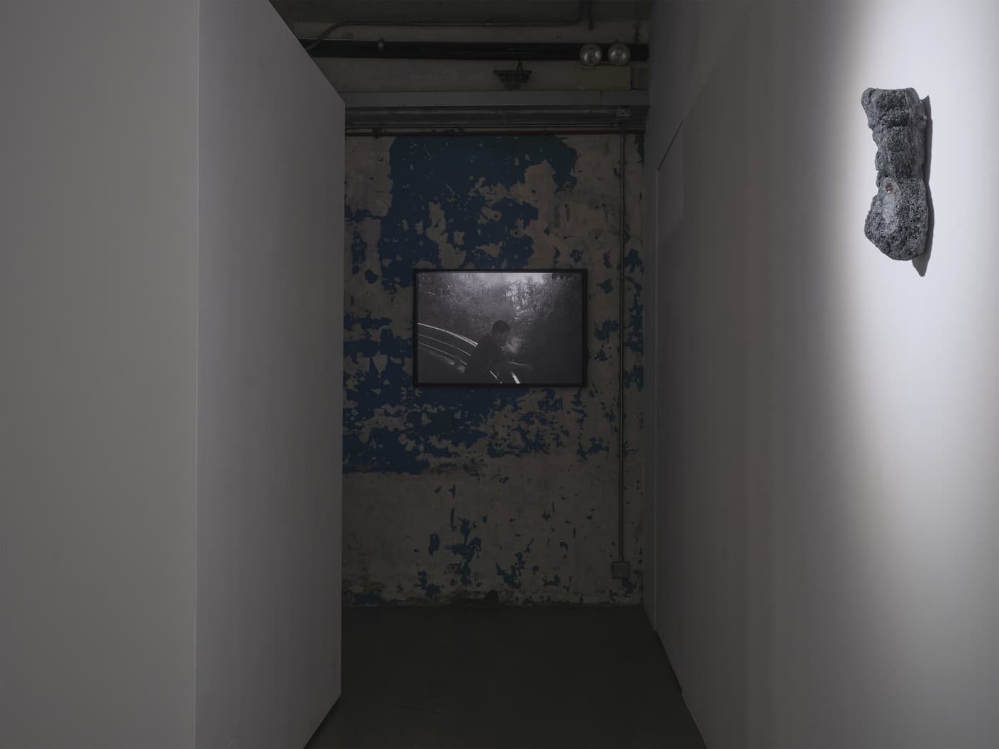 Trevor Yeung — Swallowing Rumination, Gracefully — image 10 of 11