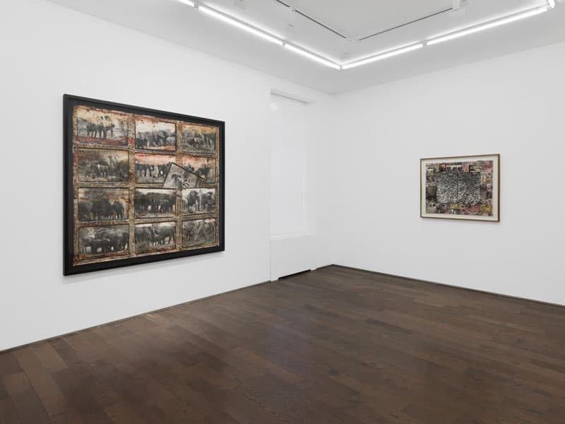 Peter Beard — The Scheme of Things — image 1 of 3