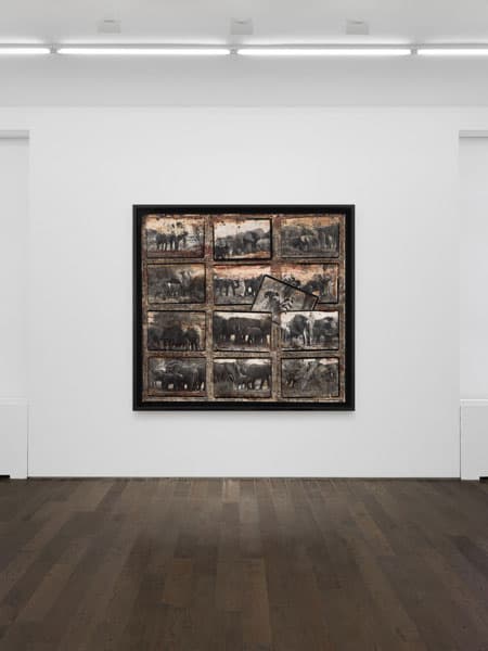 Peter Beard — The Scheme of Things — image 2 of 3
