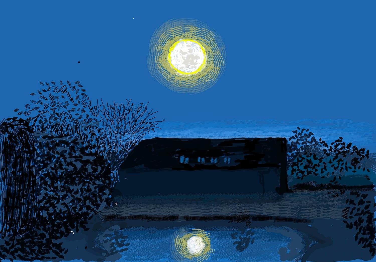 David Hockney — Moon Room