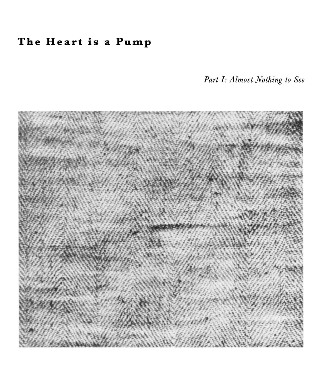 Rochelle Goldberg & Rosa Aiello — The Heart is a Pump, Part I: Almost Nothing to See