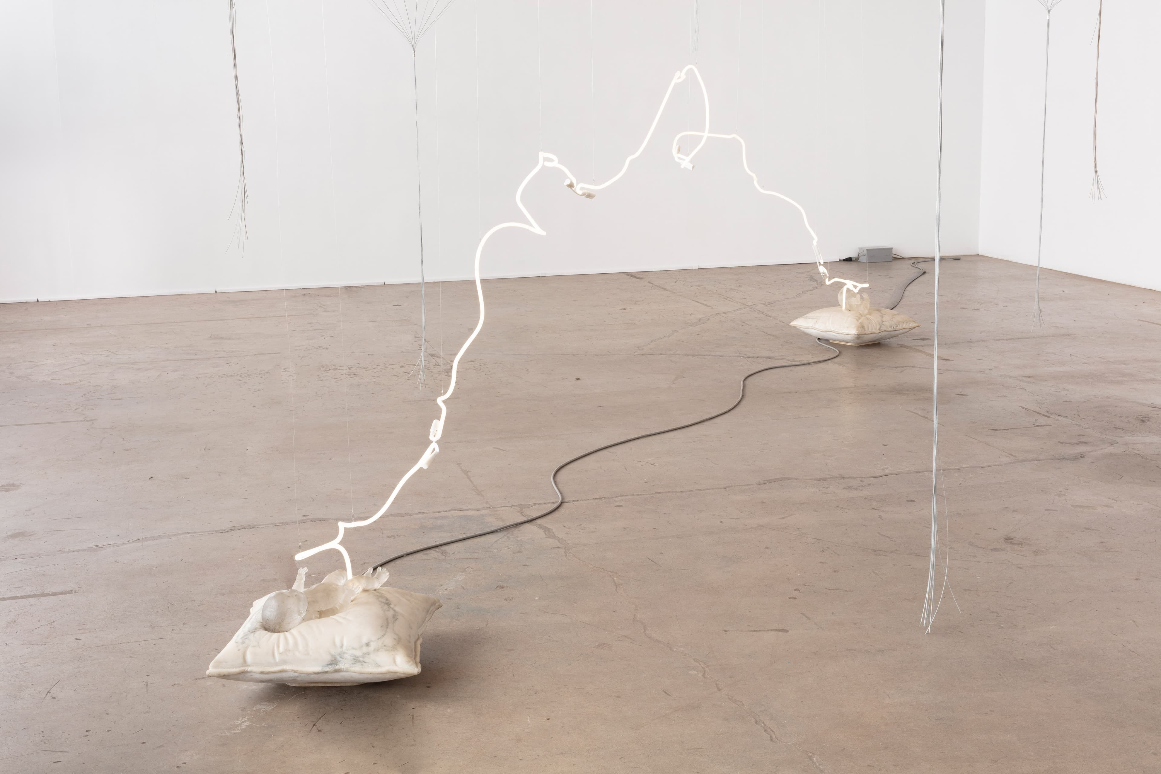 Marsha Pels — Terranova Redux — image 2 of 2