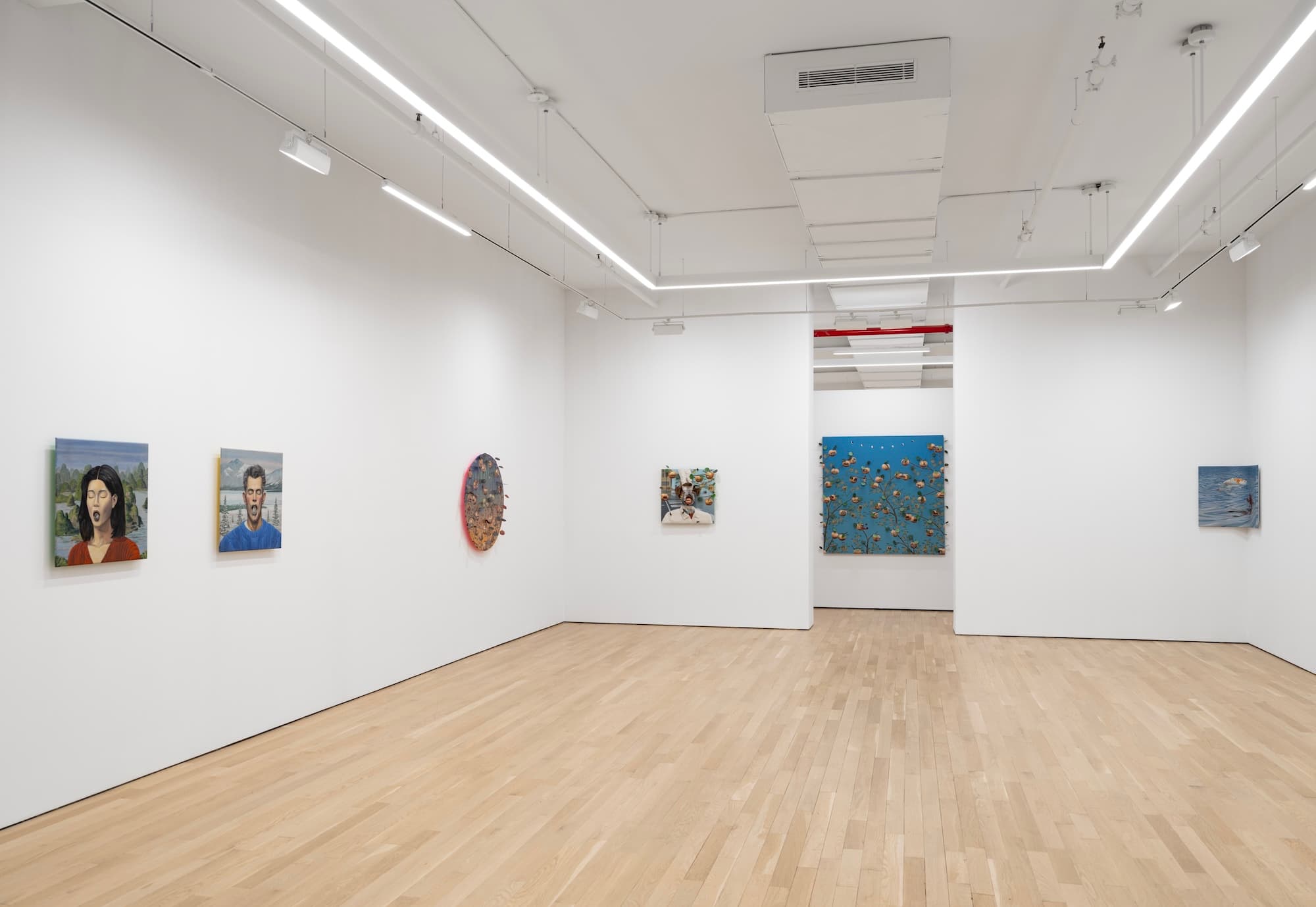 Miguel Ángel Payano Jr. — Palate Pivots — image 1 of 3