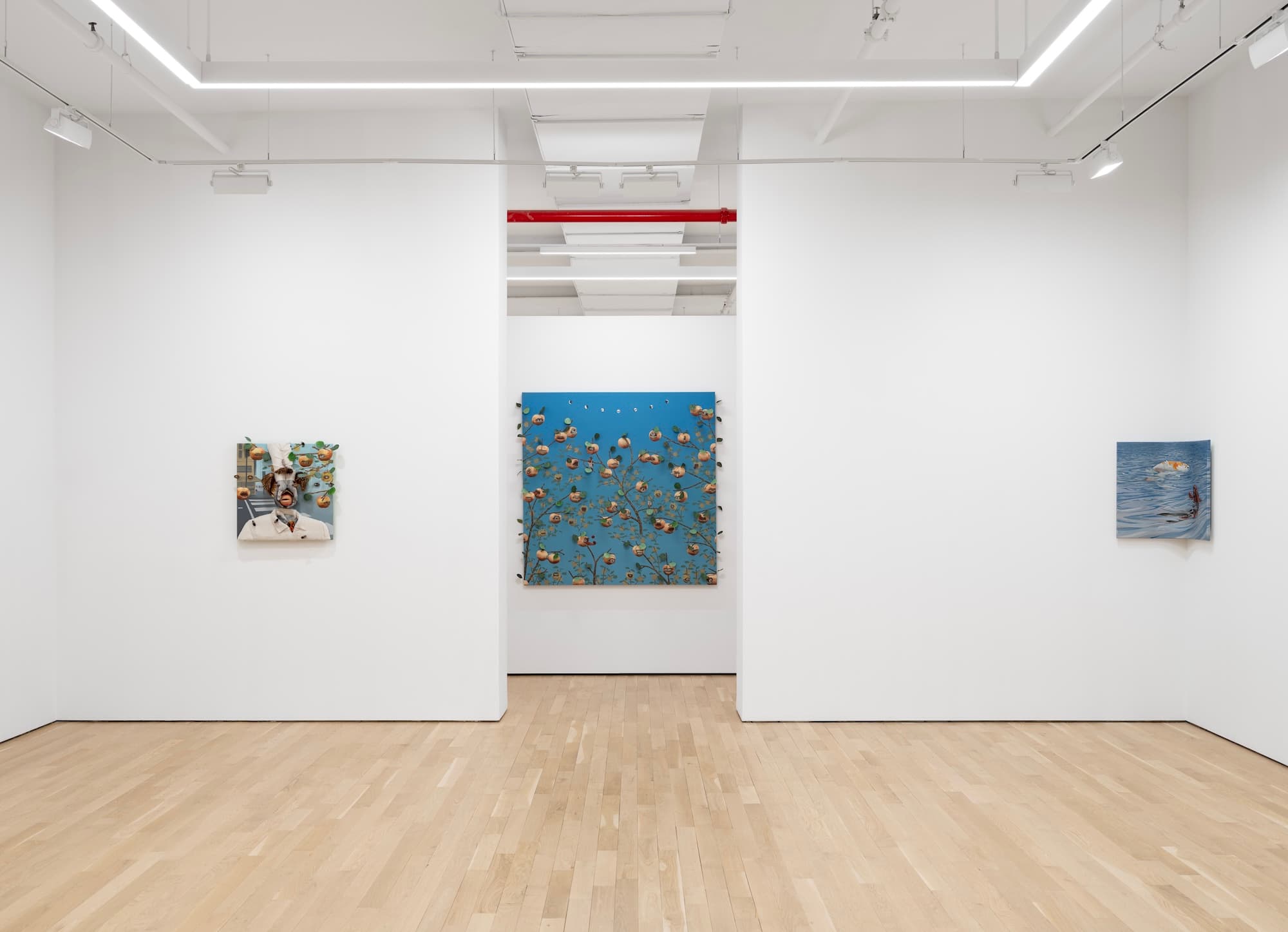 Miguel Ángel Payano Jr. — Palate Pivots — image 2 of 3