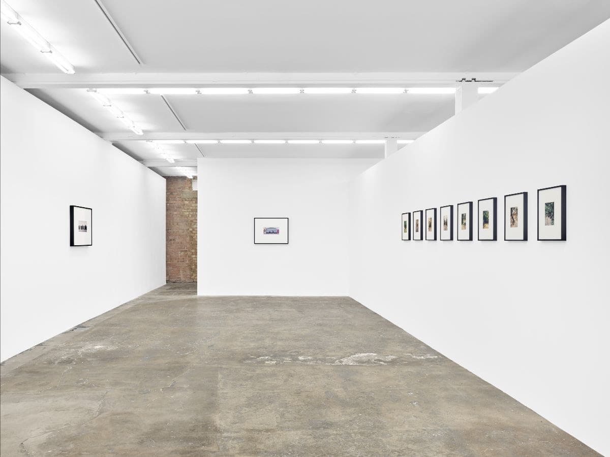 Dean Sameshima — Wonderland — image 1 of 2