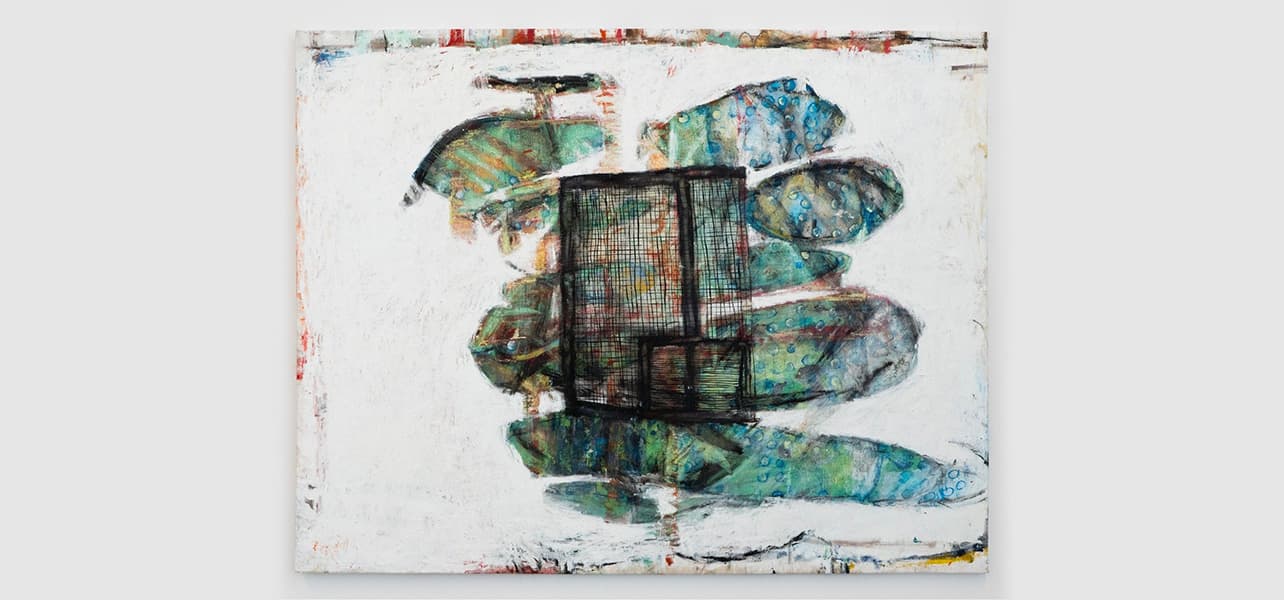 June Canedo de Souza — All Top Teeth Knocked Out at Once — image 2 of 3
