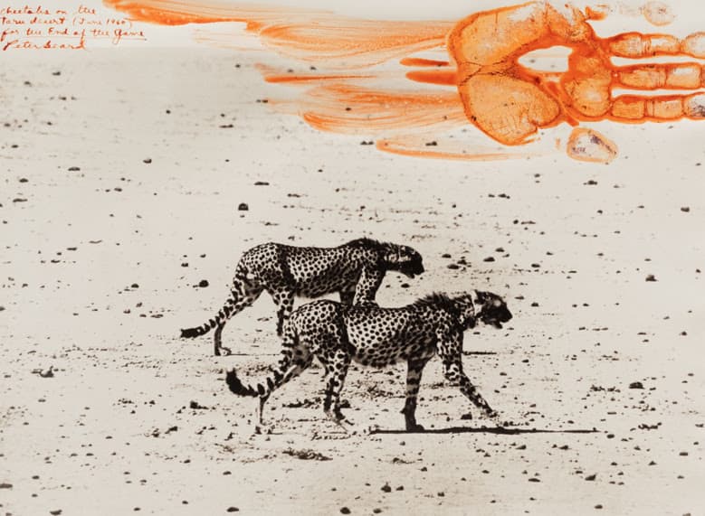 Peter Beard — The Scheme of Things