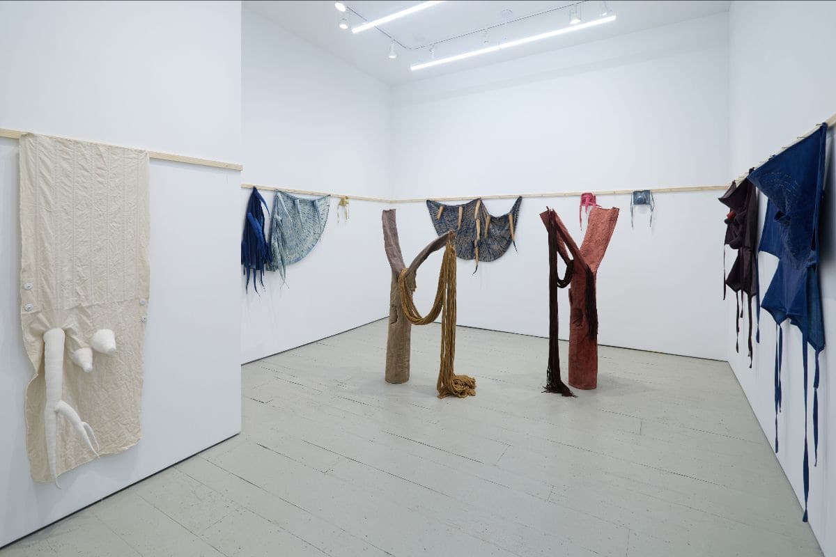 Joy Curtis — Horns, Holes, Skins, and Branches — image 1 of 2