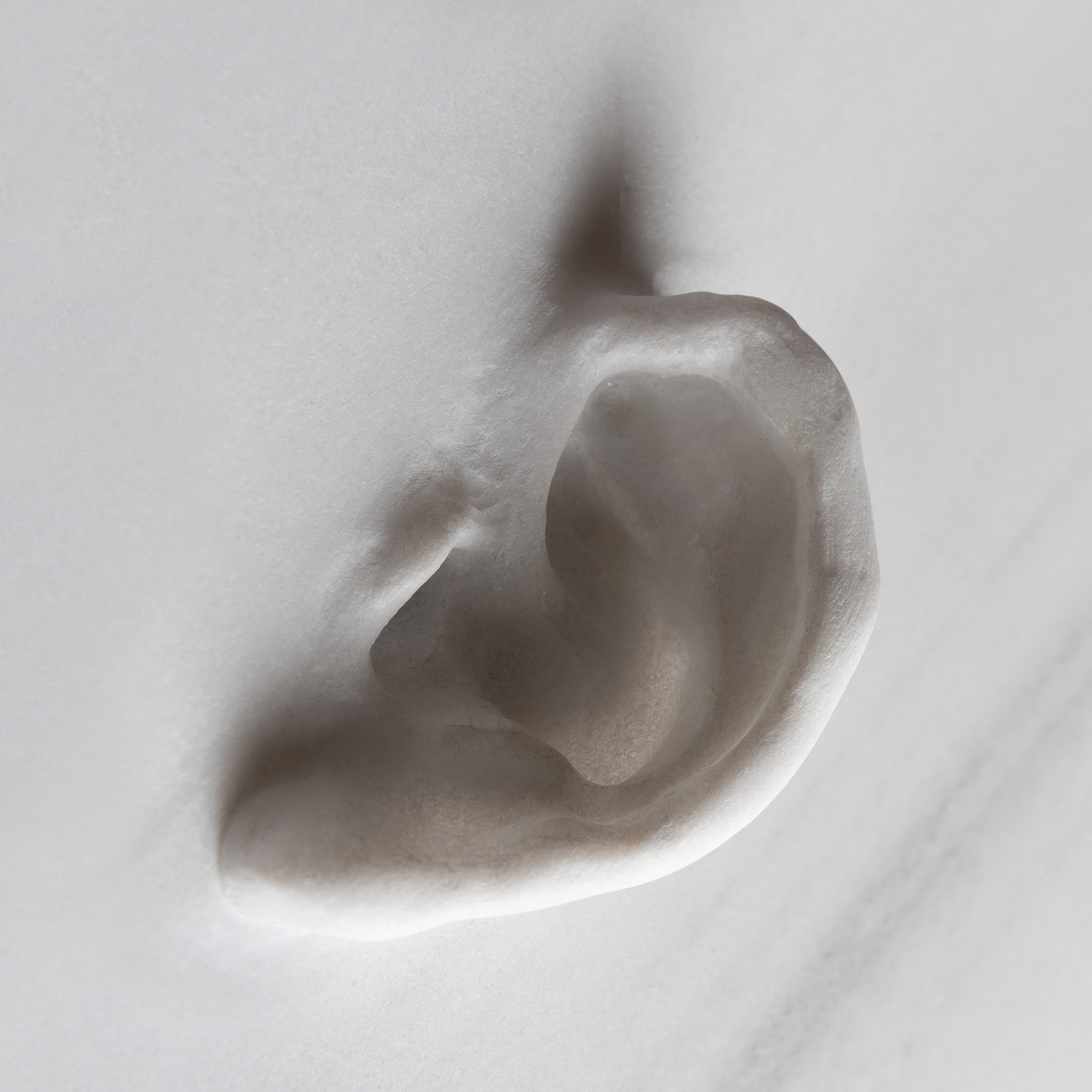 Not Vital — Listening + Looking — image 2 of 2