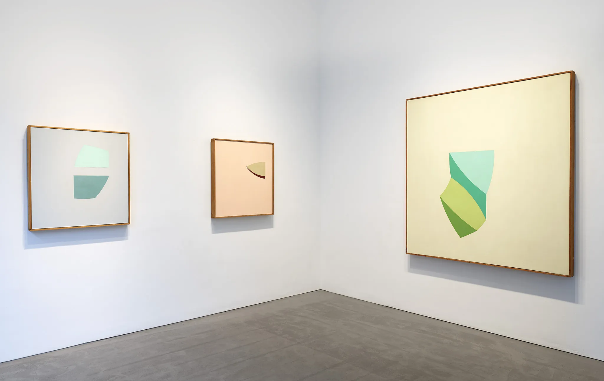 Walter Darby Bannard — Paintings From 1959-1965 — image 6 of 8