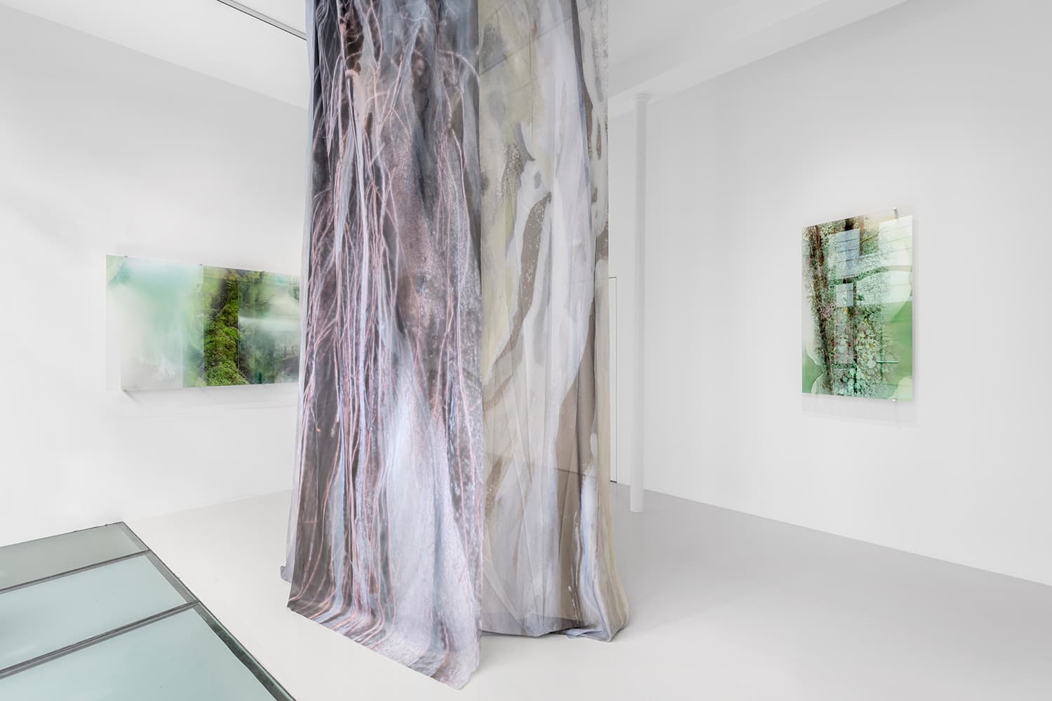 Once Were Forests - Image 2