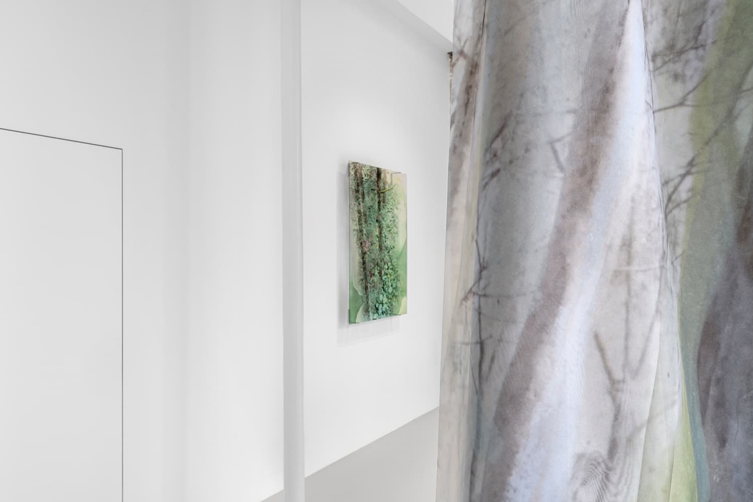 Once Were Forests - Image 3