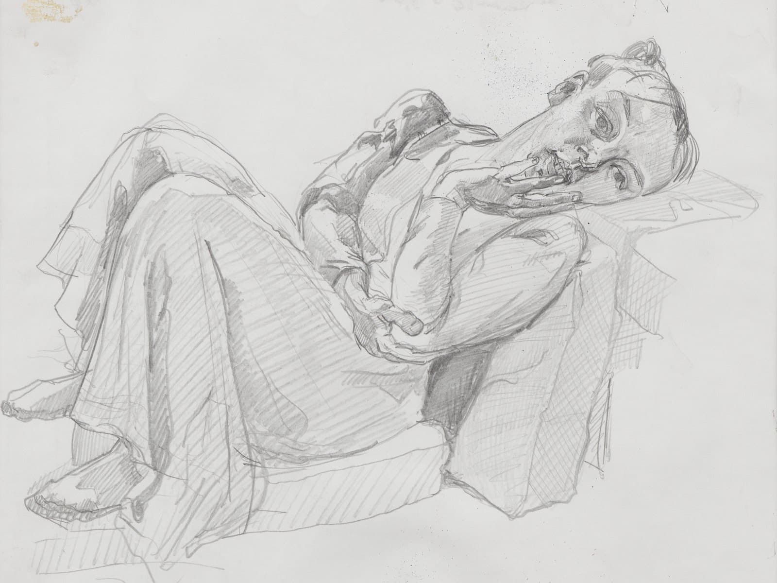 Paula Rego — Story Line