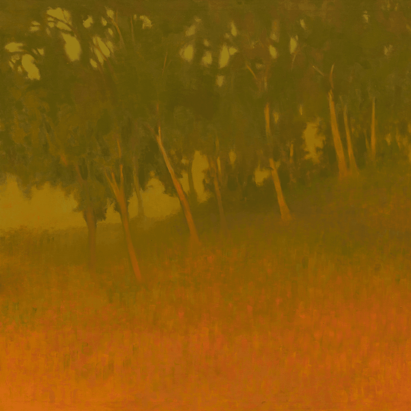 Richard Mayhew — Understory