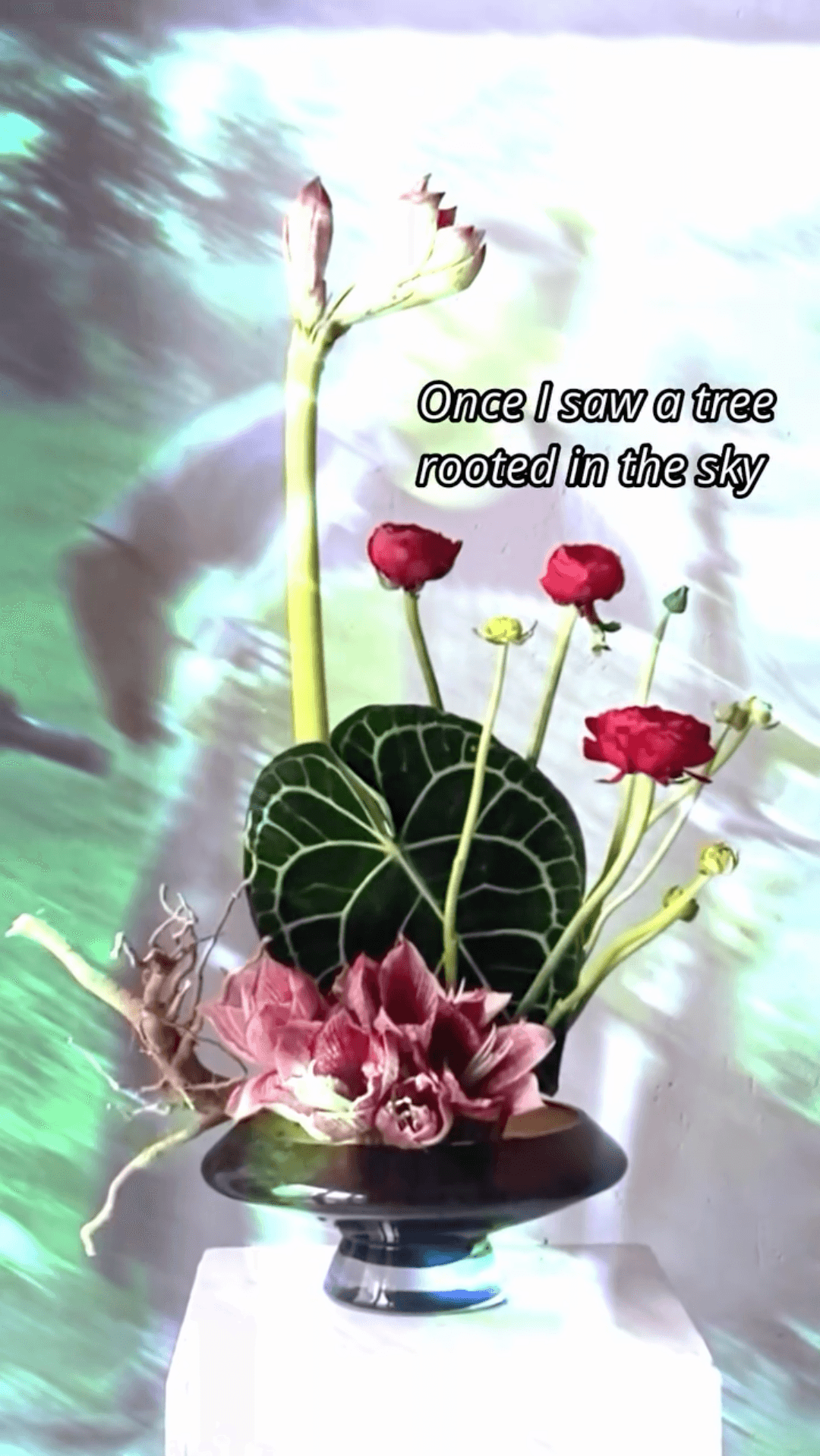 The Tree Is Rooted in the Sky