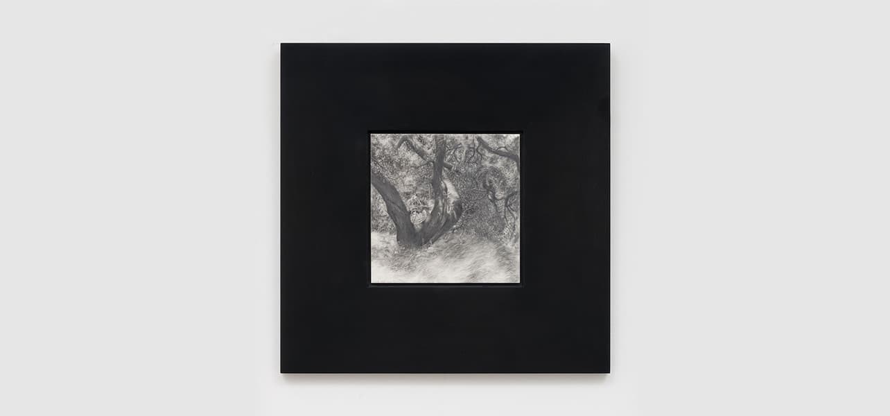 Simon Haas — Happy Trails
