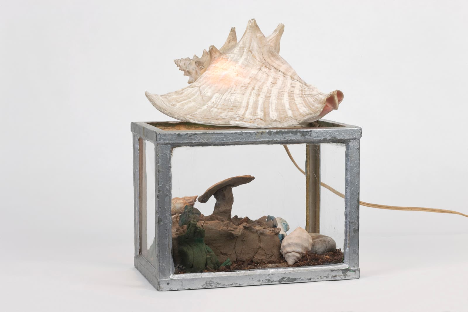 Group Exhibition — How Beautiful This Living Thing Is