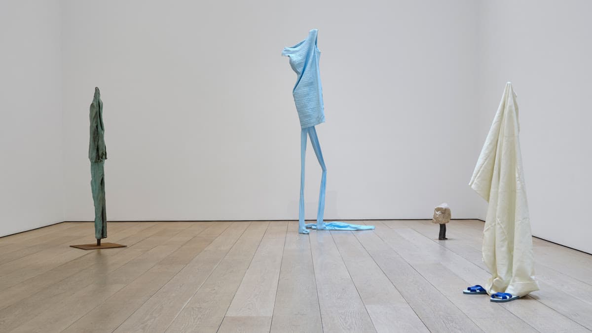 Erwin Wurm — Double Dream
