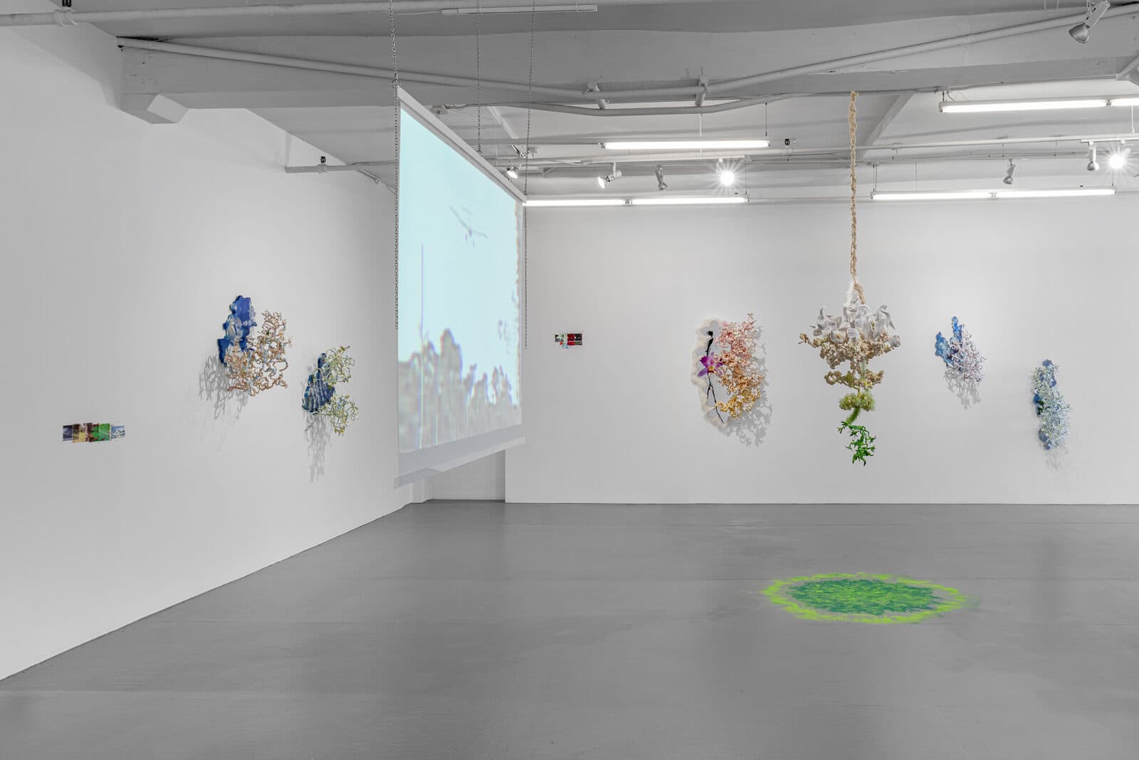 Diana Sofía Lozano — Under, Cover — image 4 of 8
