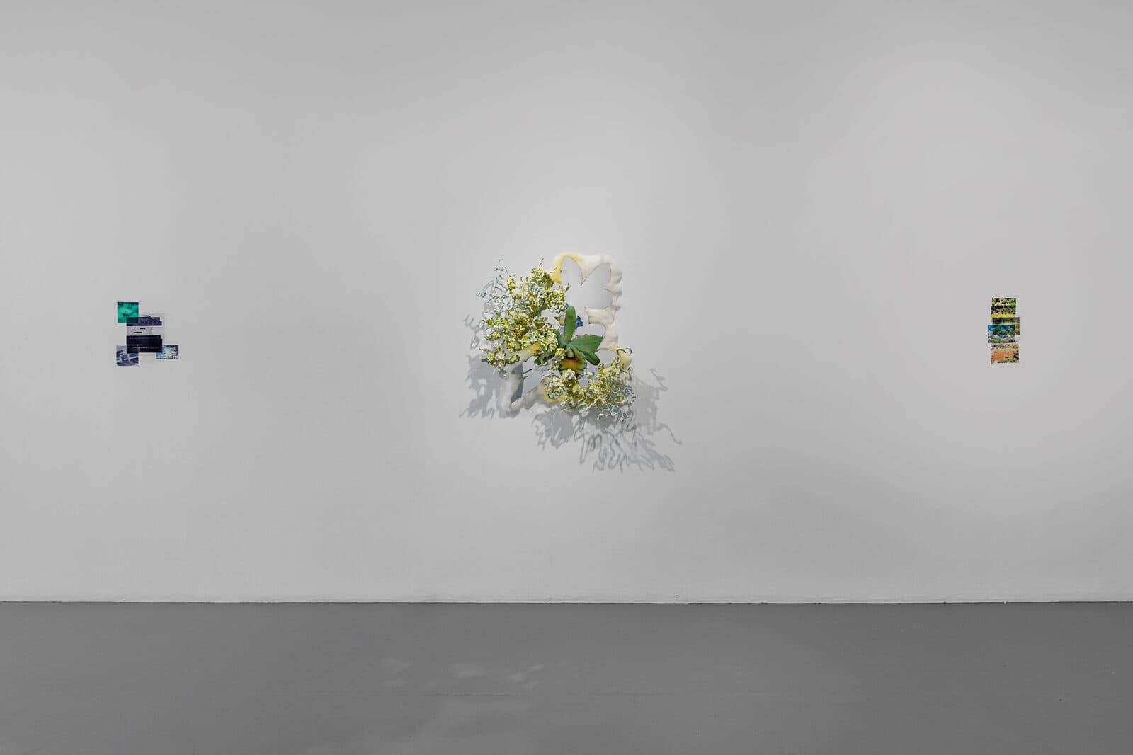 Diana Sofía Lozano — Under, Cover — image 9 of 12