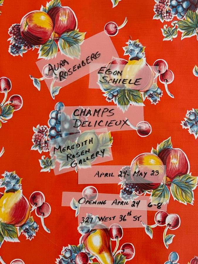 Aura Rosenberg & Egon Schiele — Champs Délicieux